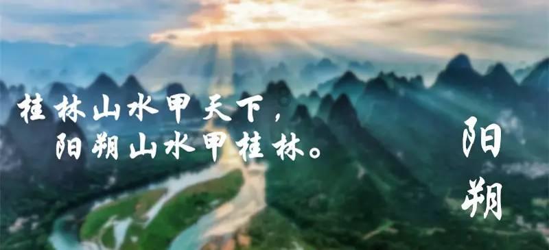 喝白萝卜汁有什么作用?