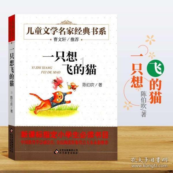 礼乐中华 盛世霓裳 ——淮北市杜集区高岳街道汉服走秀教学培训