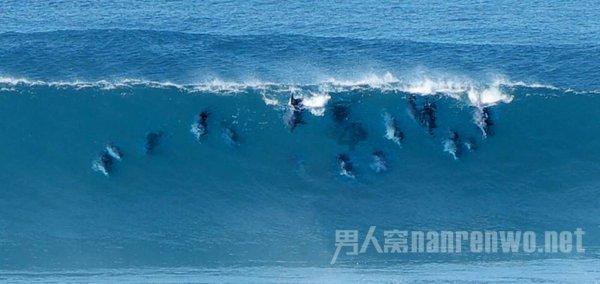全能问答平台-双子座都花心吗?答疑解惑